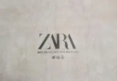 ZARA バッグサイズショップ袋 大2枚セット 58x57のサムネイル