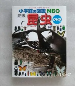 図鑑 絵本