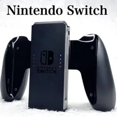 Nintendo Switch ニンテンドースイッチ　純正グリップ
