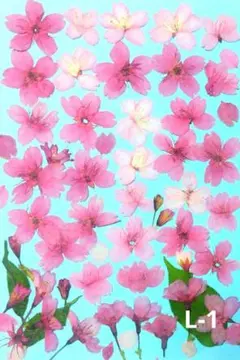 Item thumbnail for item 1008d1f5-ba73-40e4-af96-dbdab926714f