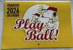 2025年最新】AOkI スヌーピーの人気アイテム - メルカリ