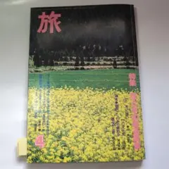 Item thumbnail for item 3003a9cb-7eae-4236-bacf-8db9f2726208