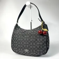 美品 COACH コーチ ショルダーバッグ キャンバス シグネチャー 黒
