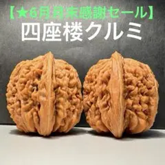 2026年最新】文玩核桃の人気アイテム - メルカリ