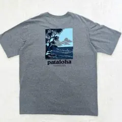【限定】パタゴニア Pataloha レスポンシビリティー Tシャツ Mグレー