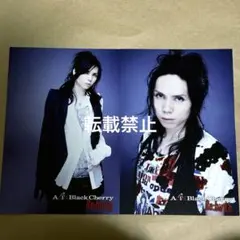 Acid Black Cherry yasu ポストカード 15 - メルカリ