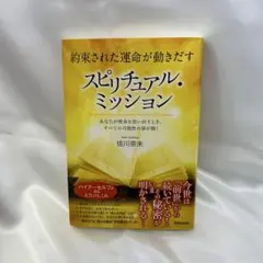 約束された運命が動きだすスピリチュアル・ミッション = This life c…