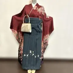 卒業式 成人式 振袖 袴セット袴(紐下95㌢)159〜164㌢ ブーツ＋10㌢可 