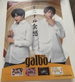 ふまけん ガルボクリアファイル 中島健人 菊池風磨