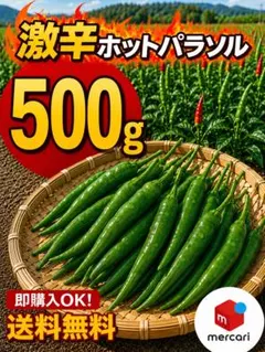 2026年最新】ホットパラソルEXの人気アイテム - メルカリ
