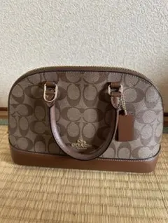 Item thumbnail for item 1f66d82d-300d-487e-aed0-4e6aab6433e1