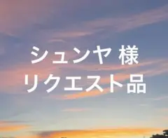 シュンヤ様 リクエスト 3点 まとめ商品