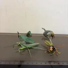 カブトムシ標本 16体セットとギンヤンマ - メルカリ