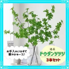 2025年最新】ツツジの人気アイテム - メルカリ