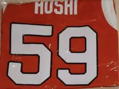 Item thumbnail for item 3e6ea160-233c-4450-82c3-4704b1308785