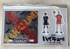 ハイキュー Tジョイアクスタ 影山・リエーフ