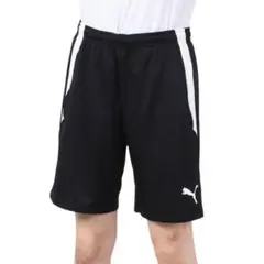 PUMA TEAMLIGA トレーニングショーツ 65779503 速乾