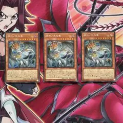 遊戯王 泰亜版 調和ノ天救竜 3枚セット ウルトラレア - メルカリ