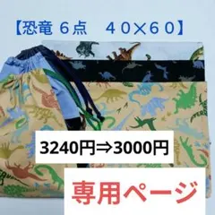 最終【給食６点】40×60ランチョンマット＆給食袋【恐竜３柄】高学年〜中学生さん