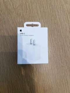 ipad 充電器 純正