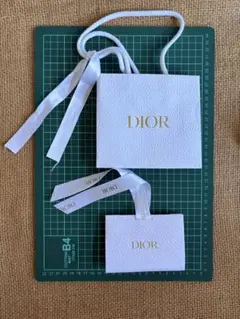 Diorショップ袋　2枚組　特典ありのサムネイル