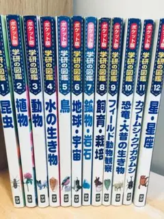 新ポケット版 学研の図鑑(12巻セット) 新ポケット版 学研の図鑑 12巻セット - メルカリ