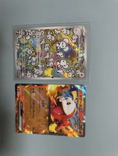 ポケモンカード イッカネズミ ホゲータex 2枚セット