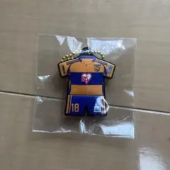 激レア】サッカー日本代表 ピンバッジ 2006年W杯ユニフォーム型 JFA
