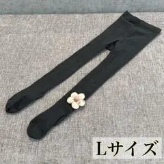 Item thumbnail for item 5539e27a-101b-4229-9c17-ffaa542481c9