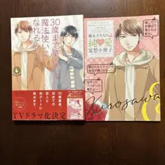 30歳まで童貞だと魔法使いになれるらしい 4巻