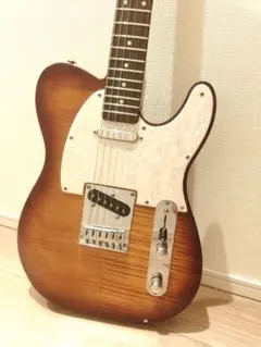 bridge9様 専用 FgN(フジゲン)JTL 6Rテレキャスタータイプ - メルカリ