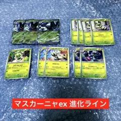 マスカーニャex ブーケマジック　進化ライン　ポケカ　エクストラバトル