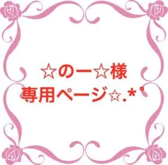 ☆のー☆様専用ページ✩.*˚