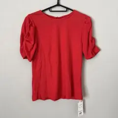 クリア　新品　半袖　リブ　ニット　薄手　ピンクレッド