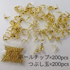 Item thumbnail for item 1f2fab52-7202-4172-8bf4-f1038642cef1