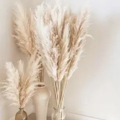 2025年最新】パンパスグラスの人気アイテム - メルカリ