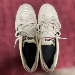 モレリアネオ2 スパイク　取り替え式