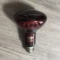 Item thumbnail for item ecfa2607-ad6f-4700-ba43-d70746607bce