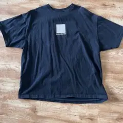 F.P.O エヴァンゲリオン 初号機 ビッグシルエット Tシャツ 3L