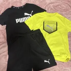 PUMA 160cm Tシャツ ハーフパンツ まとめ売り セットアップ ジャージ