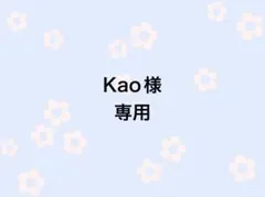 Kao様専用ページ
