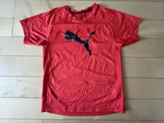 PUMA Tシャツ　シャツ　トレーニングシャツ