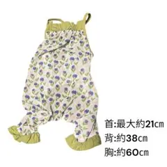 Item thumbnail for item 50838ea0-b456-4ee8-b9e8-422e0ddb67c1