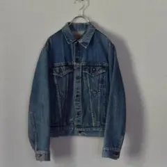 か*ん様 1980s LEVI'S 70706-0216 サイズ18のサムネイル