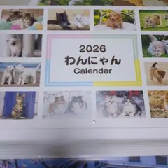 Item thumbnail for item 14f8ae5a-7c0f-410c-84c8-b94bf818fc23