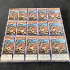 9882【遊戯王】枯鰈葉リプレース　15枚セット