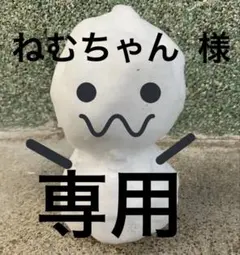 ねむちゃん様専用ページ