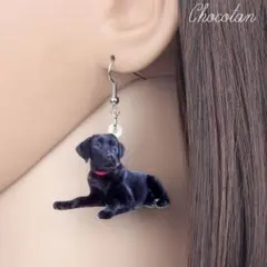 黒ラブ ② アクリルピアス