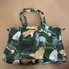 Item thumbnail for item 679f1410-75d0-4396-bef9-f4a57d4353a2