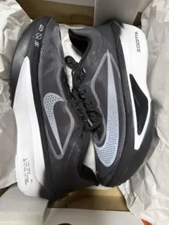 Item thumbnail for item 78d0d2a6-50b2-4a10-89ac-0d759355d78a